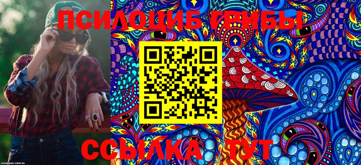 Галлюциногенные грибы MAGIC MUSHROOMS  дарнет шоп  Нововоронеж  Вход с VPN 