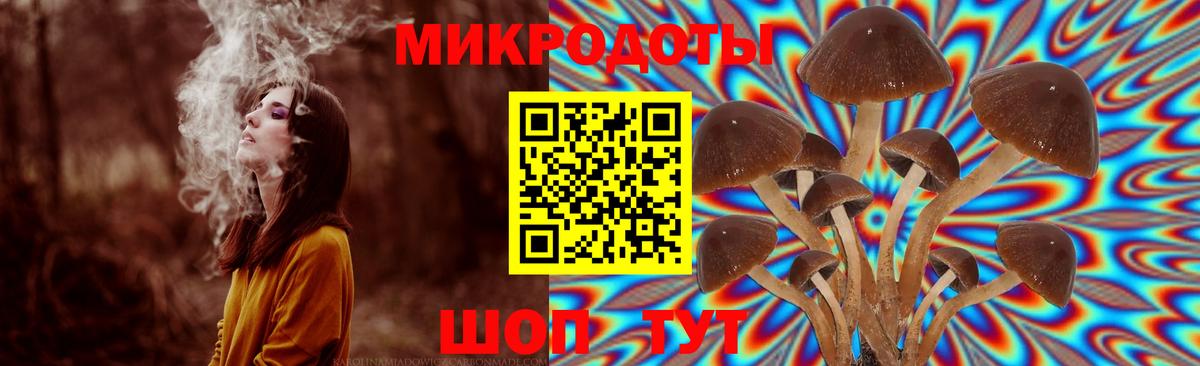 Галлюциногенные грибы мицелий Нововоронеж